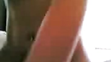 BRAZZERS: పోర్న్‌హెచ్‌డిలో రాచెల్ స్టార్‌తో తెలుగు లేటెస్ట్ సెక్స్ మూవీస్ కిచెన్ సెక్స్